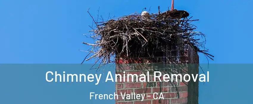 Chimney Animal Removal French Valley - CA
