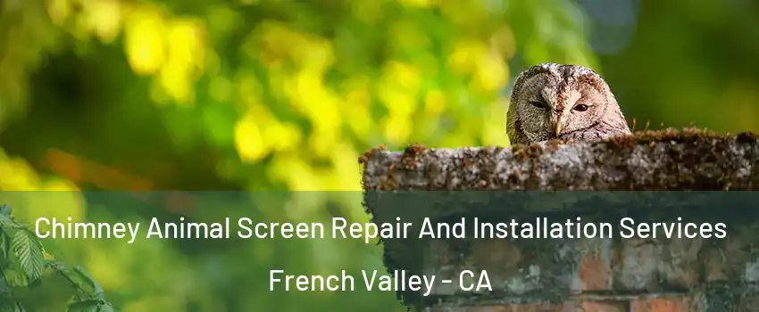  Chimney Animal Screen Repair And Installation Services French Valley - CA