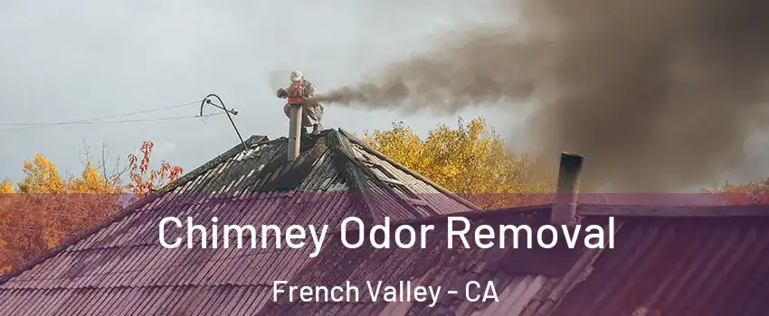  Chimney Odor Removal French Valley - CA