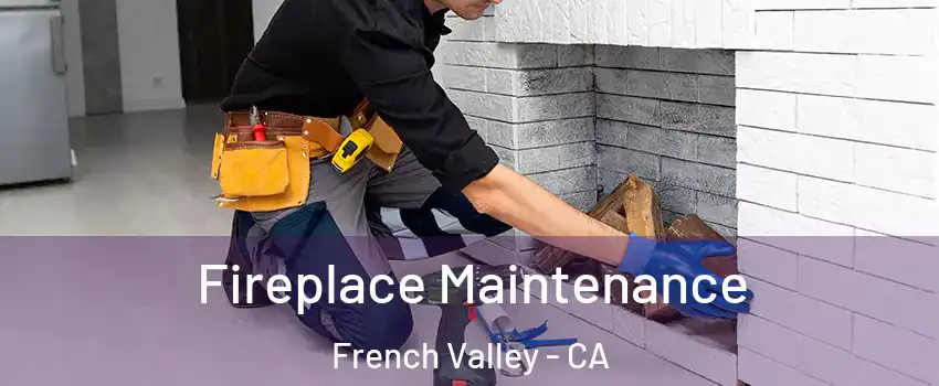  Fireplace Maintenance French Valley - CA