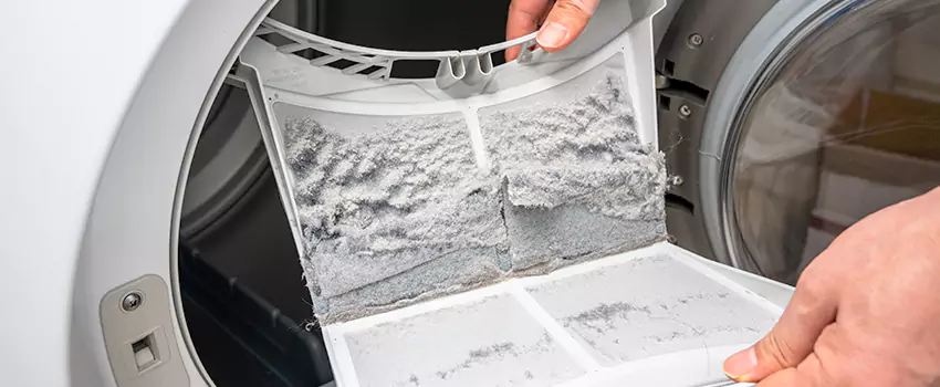 Best Dryer Lint Removal Company in French Valley, California