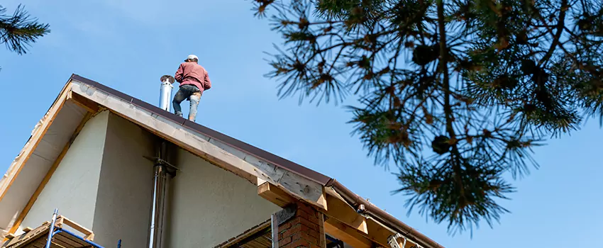 Birds Removal Contractors from Chimney in French Valley, CA