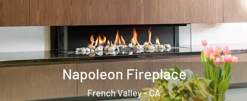  Napoleon Fireplace French Valley - CA